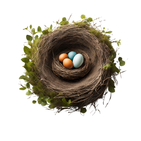 Nest PNG transparent background - Photo #16746 - Pngdow - Png images ...