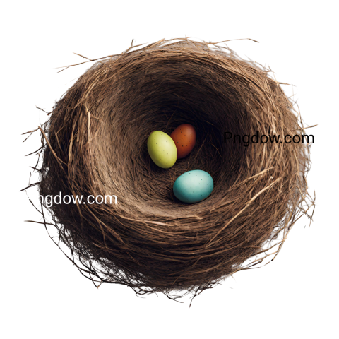 Free Nest PNG images