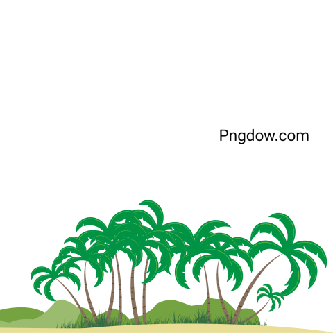 Palm tree PNG transparent background