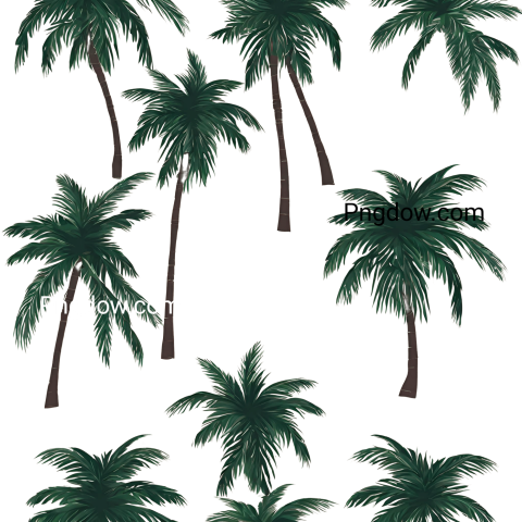 Palm tree tokio logo png