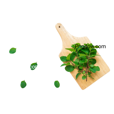 Download Stunning Peppermint PNG Image with Transparent Background