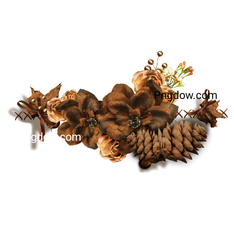 High Quality Pine cone PNG Image with Transparent Background   Free Download