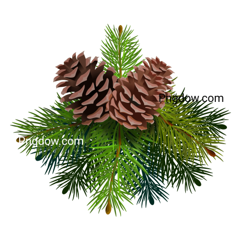 Pine cone beer logo png, Pine cone png