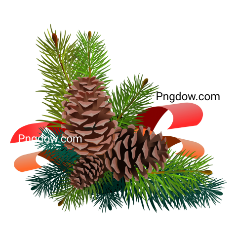 Pine cone beer logo png, Pine cone png free