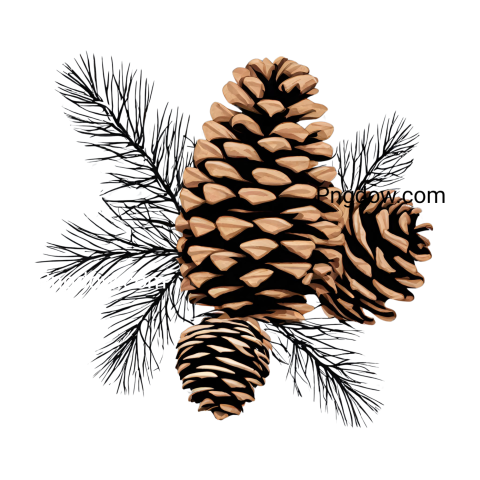 Download Pine cone PNG Image with Transparent Background   High Quality and Free