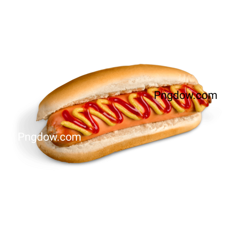 Exclusive Bun PNG Image with Transparent Background   Download Now!