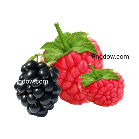 pixel Raspberry Png