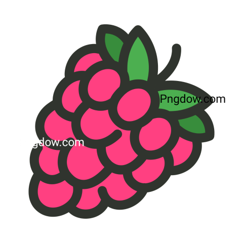 raspberry png clipart