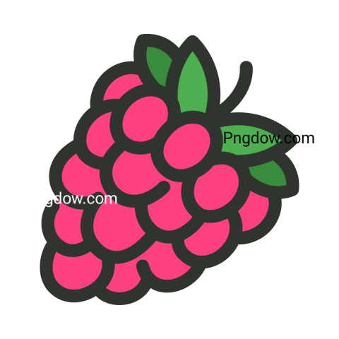 raspberry png clipart - Photo #18543 - Pngdow - Millions of Transparent ...