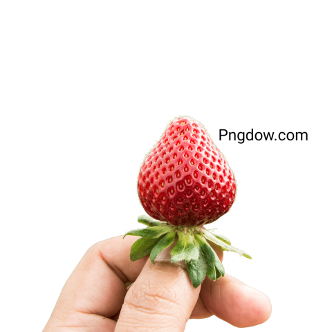 hand held strawberry png