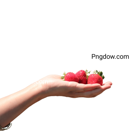 hand held strawberry png images
