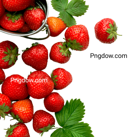 strawberry png  and transparent