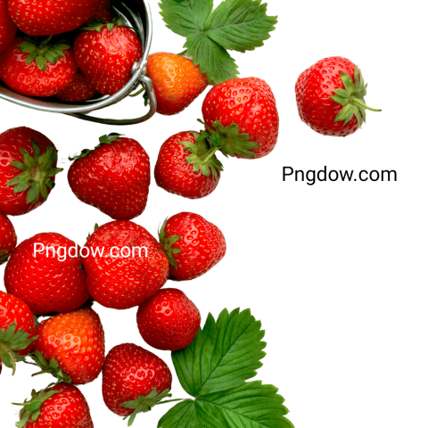 strawberry png and transparent - Photo #18577 - Pngdow - Millions of ...