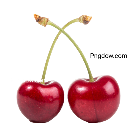 How to create custom Cherry illustrations in PNG format