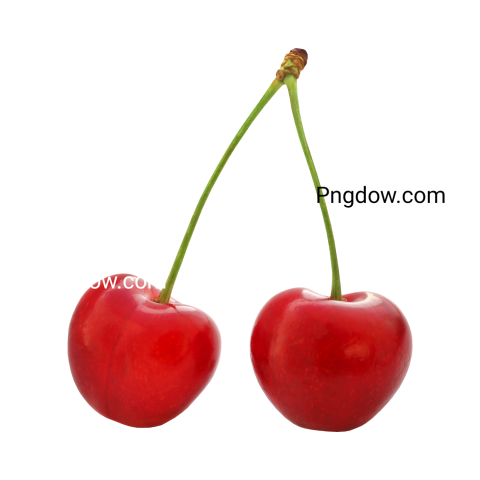 Are there any free resources for downloading Cherry illustrations in PNG format