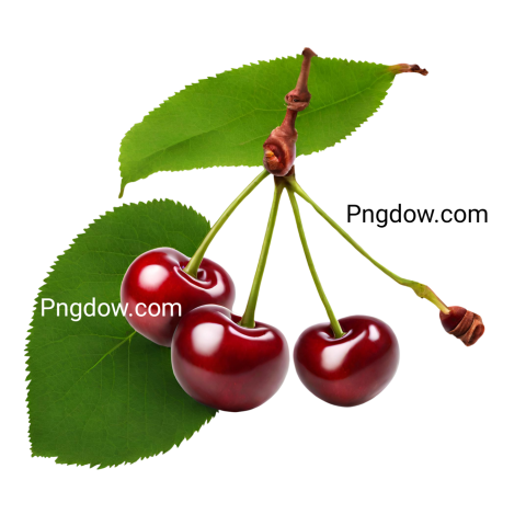 Download Cherry PNG Image with Transparent Background   High Quality Cherry PNG