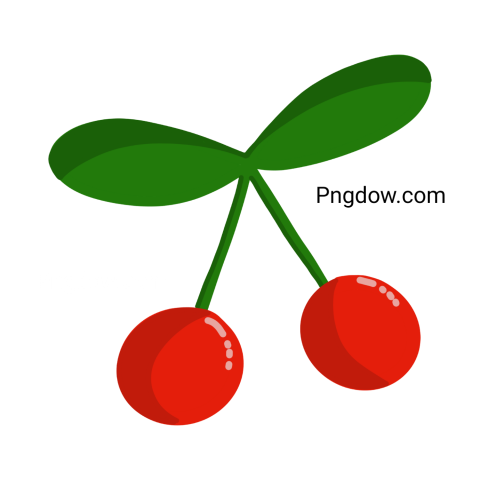 High Quality Cherry PNG Image with Transparent Background for Versatile Use