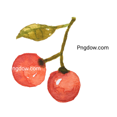 Cherry png transparent background