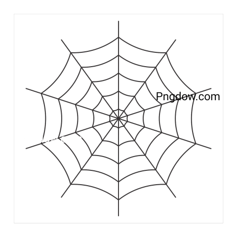 Spider Web Black Png