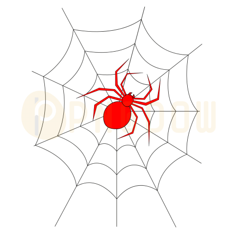 Spider red Web Png