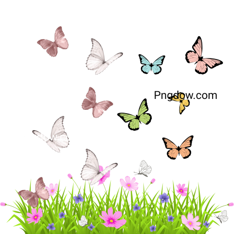 Green Grass with Flowers and Butterflies