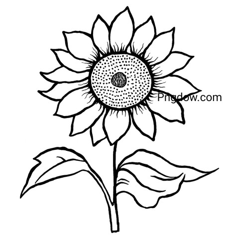 Sunflower coloring page for kids featuring a large sunflower with bold outlines, perfect for young artists