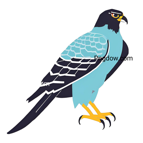 A blue and black hawk with yellow feet, Falcon PNG free