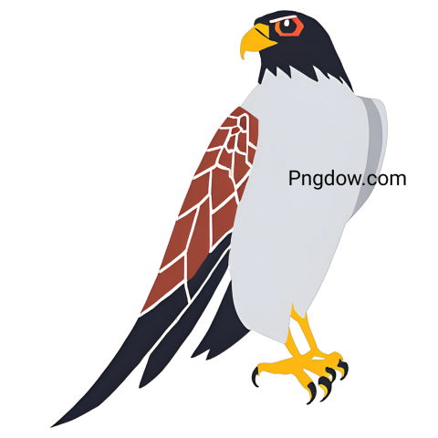 White and red falcon with black feet, free PNG image
