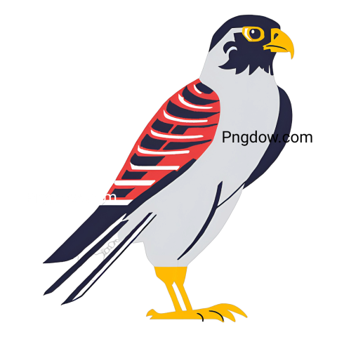Free PNG of white and red bird with black feet, a falcon