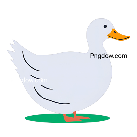 A white duck standing on green grass