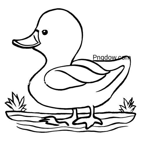 Monochrome duck illustration on transparent background