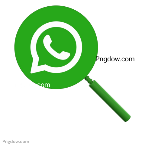 WhatsApp logo featuring a magnifying glass, symbolizing search functionality within the messaging application