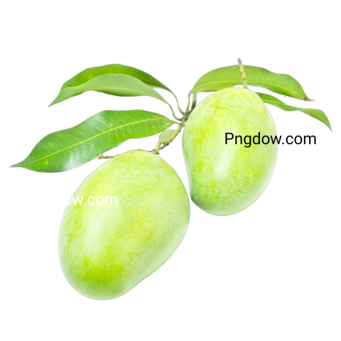 mango green png image