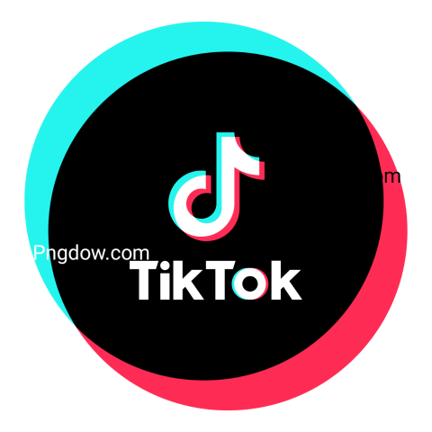 TikTok logo enclosed in a circular design, representing the brand's identity in a modern vector format