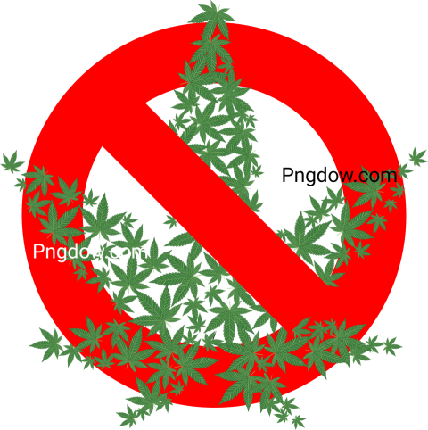 Cannabis Png transparent background for free