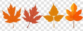 Collection of autumn leaves on transparent background, svg