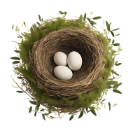 Download Nest PNG transparent images for free