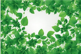 Free High Quality Green Background Images for Your Project