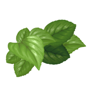 Get the Perfect Green Leaf PNG Image with Transparent Background for Your Designs