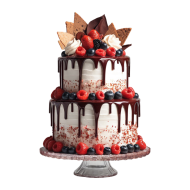 High Quality Cake PNG Images for Your Creative Project