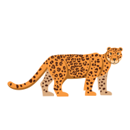 Jaguar png transparent Background image free, (10) - Photo #8329 ...