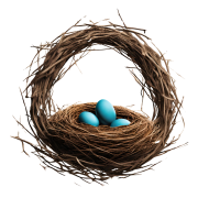 Nest PNG image with transparent background, edelweis