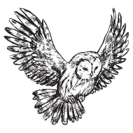 Owl Png Transparent Background - Photo #10959 - Pngdow - Free And 