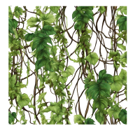 Stunning Forest PNG Image with Transparent Background for Versatile Use