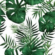 Stunning Green Leaf PNG Image with Transparent Background   Download Now