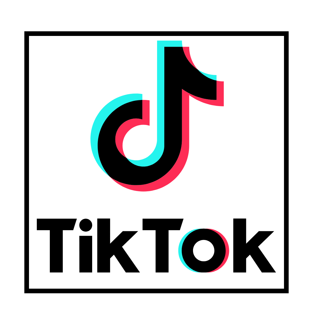 Tiktok Logo Png Icon PNG