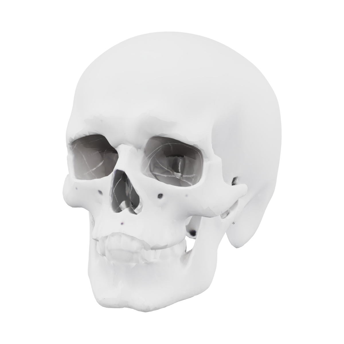 3D Skull Png Transparent