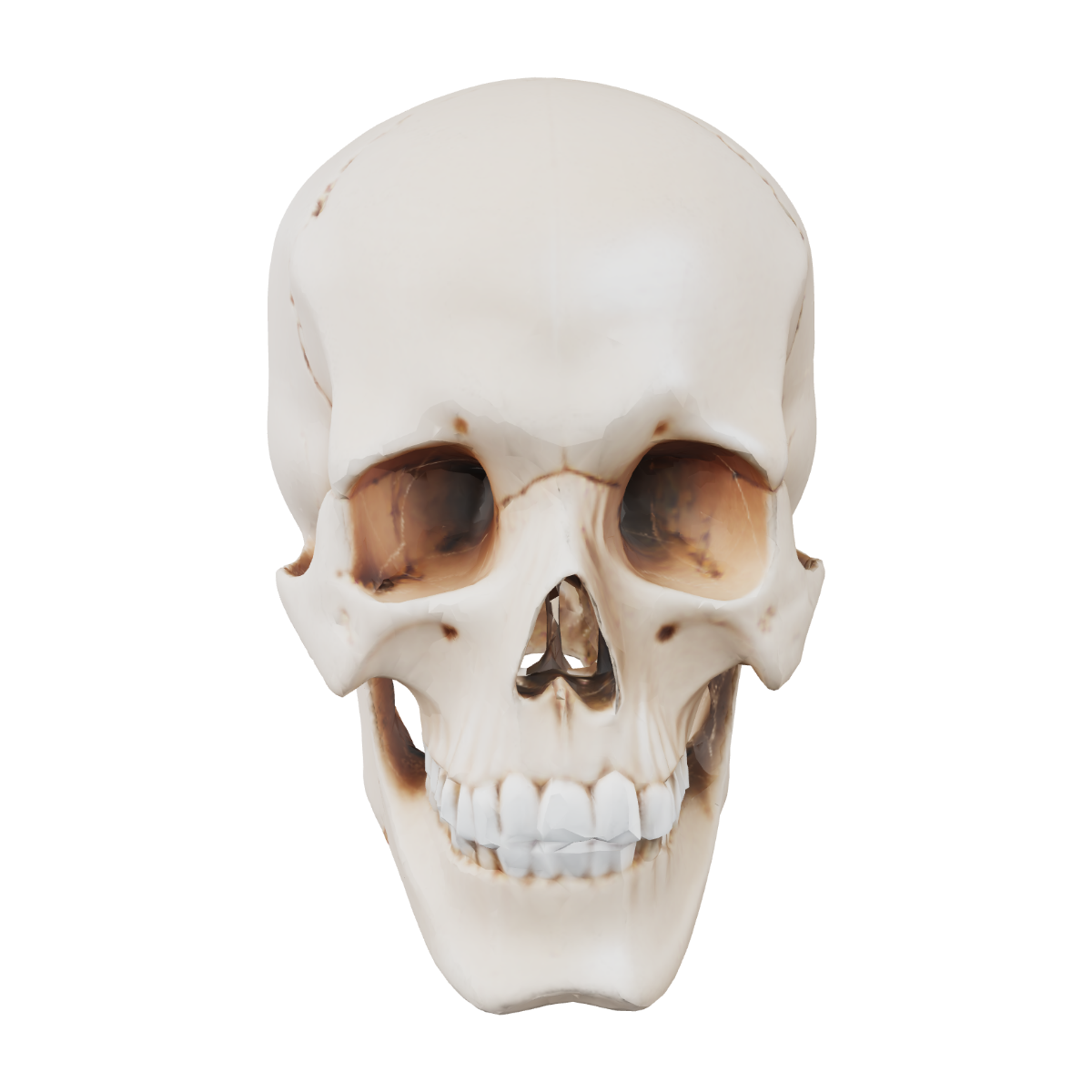 Skull Png Image Transparent