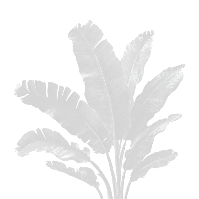 Banana Leaves Shadow Background