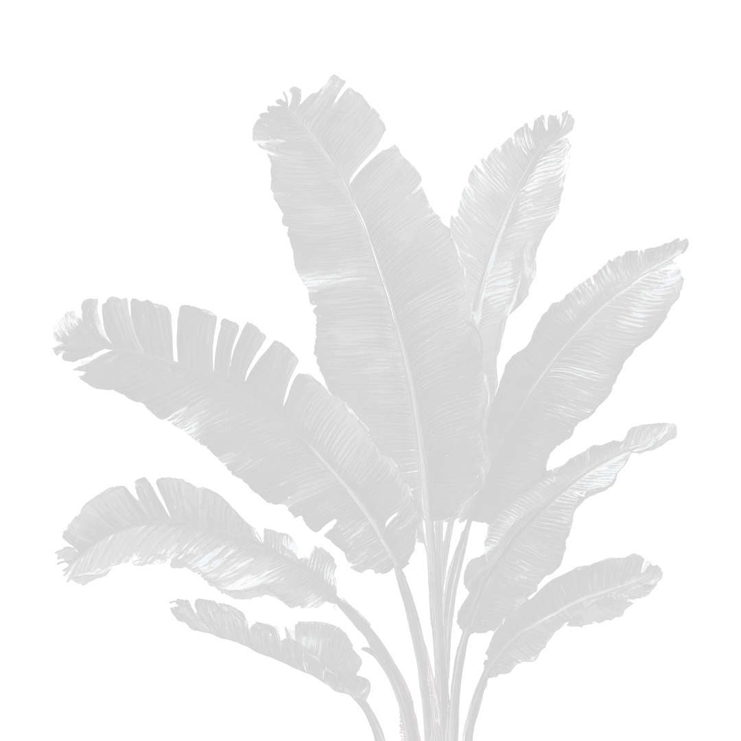 Banana Leaves Shadow Background